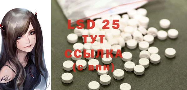mdpv Бородино