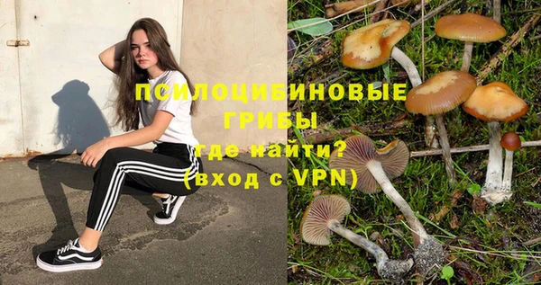 apvp Бронницы