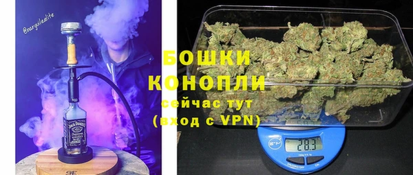 mdpv Бородино