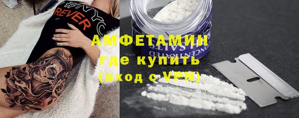 mdpv Бородино