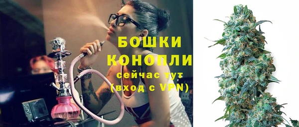 mdpv Бородино