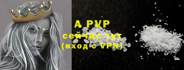 mdpv Бородино