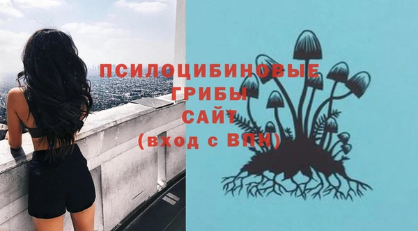 apvp Бронницы